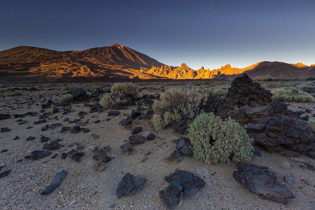 Spanien,Kanarische Inseln,Insel Teneriffa,Parque Nacional del Teide (Teide-Nationalpark),von der UNESCO zum Weltkulturerbe erklärt,Vegetation und Felsen bis zum Vulkan Teide