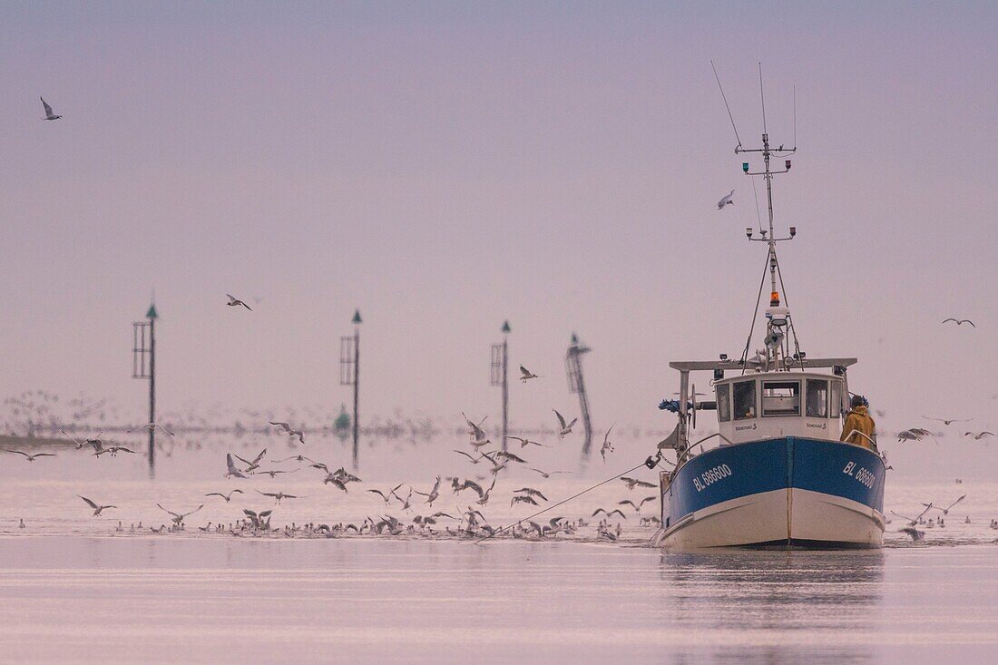 Frankreich,Somme,Baie de Somme,Saint-Valery-sur-Somme,Cap Hornu,Fischer im Somme-Kanal