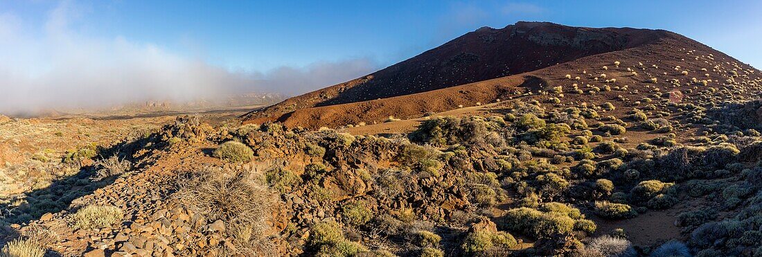 Spanien,Kanarische Inseln,Insel Teneriffa,Parque Nacional del Teide (Teide-Nationalpark),von der UNESCO zum Weltkulturerbe erklärt,Vegetation und Felsen bis zum Vulkan Teide