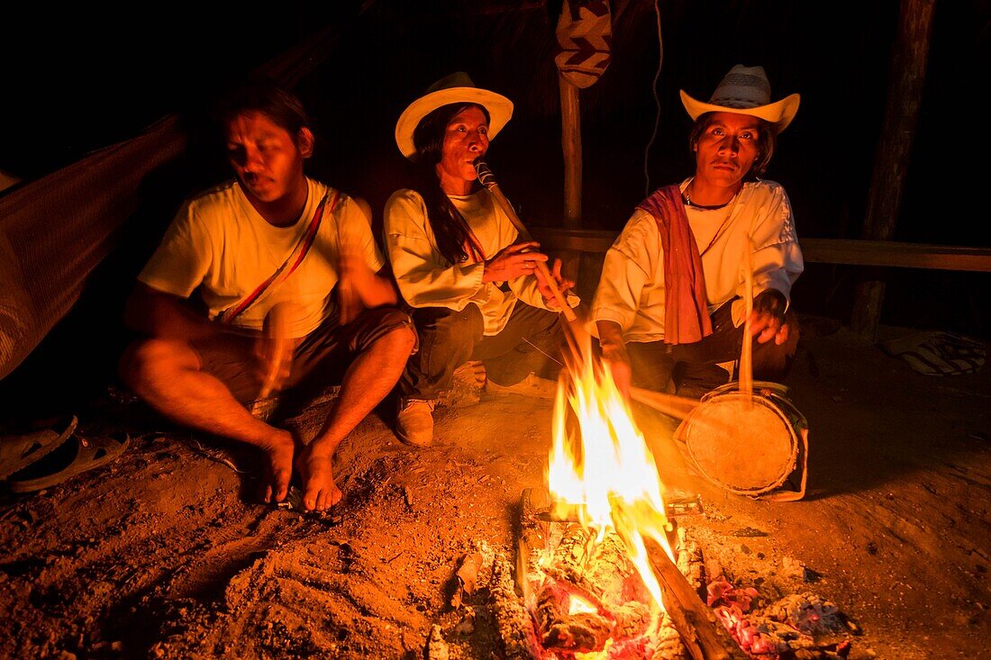 Colombia, Sierra Nevada de Santa Marta, Tayrona Park, trek of the Lost City, registered World Heritage by UNESCO, evening at the camp, wiwa musicians