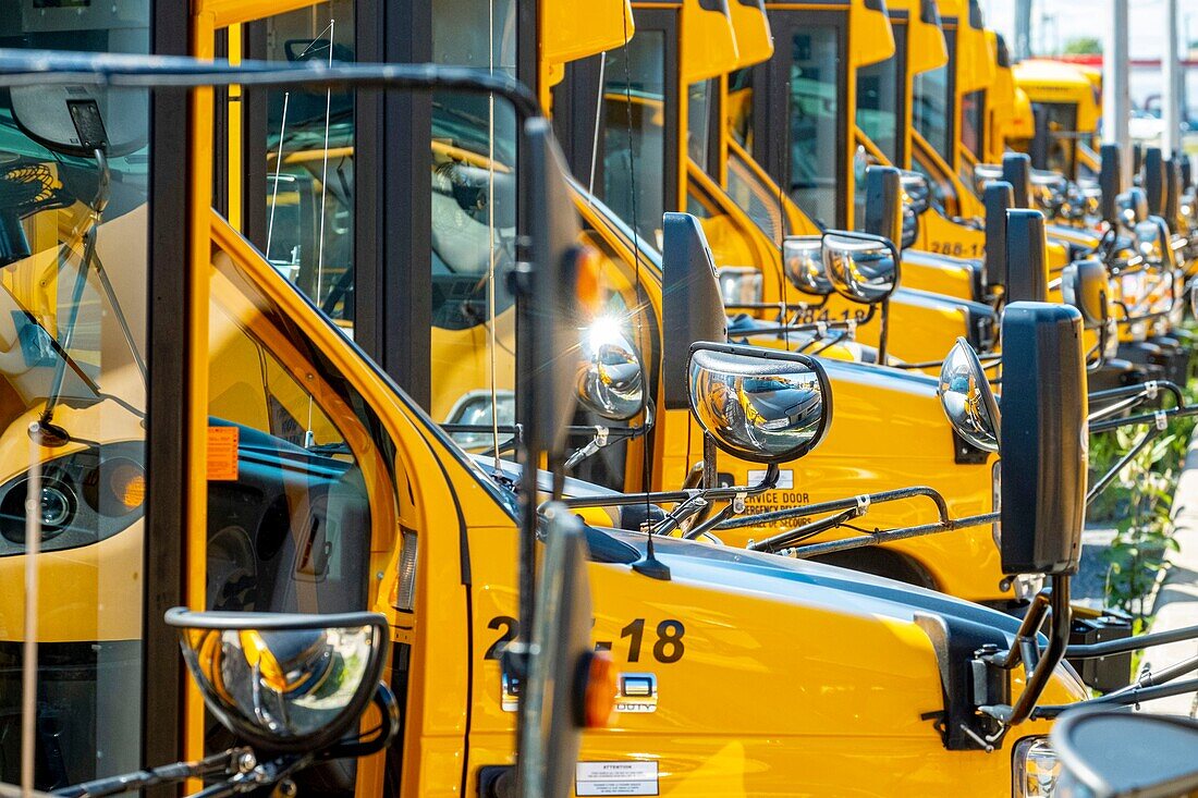 Canada, Ontario province, School Bus