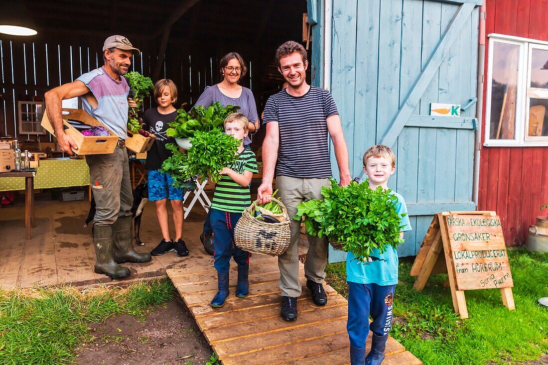 Sweden, County of Vastra Gotaland, Hokerum, Ulricehamn hamlet, Rochat family report, Wednesday market day at the farm shop from 4 pm, Vivien the cook of the restaurant Vilhelemsro came to get the vegetables with the family