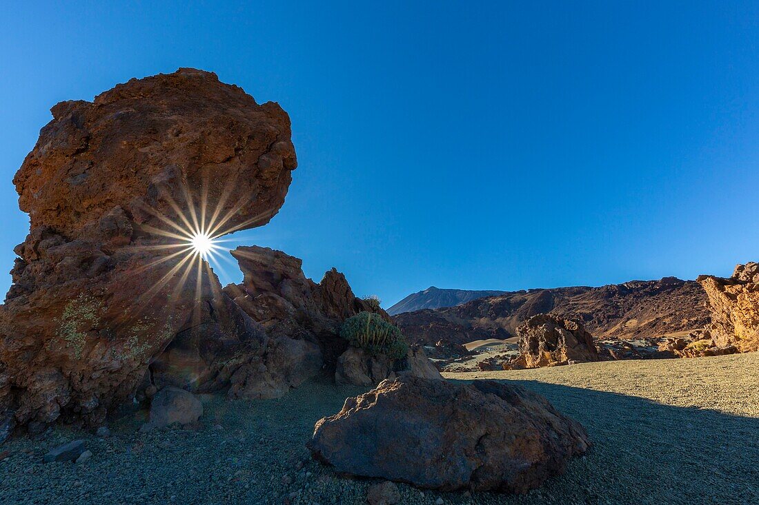 Spanien,Kanarische Inseln,Insel Teneriffa,Parque Nacional del Teide (Teide-Nationalpark),von der UNESCO zum Weltkulturerbe erklärt,Vegetation und Felsen bis zum Vulkan Teide