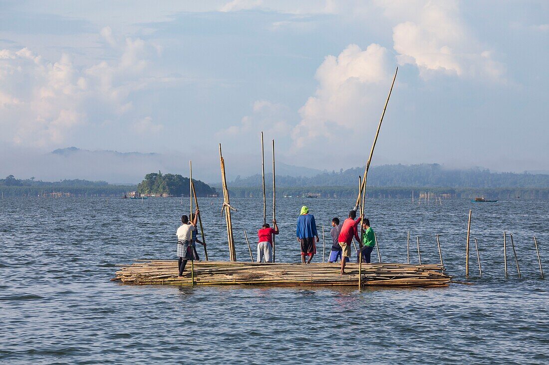 Philippines, Palawan, Malampaya Sound Protected Landscape and Seascape, fishermen building a typical fishing gear with a bambou structure maintaining fish nets