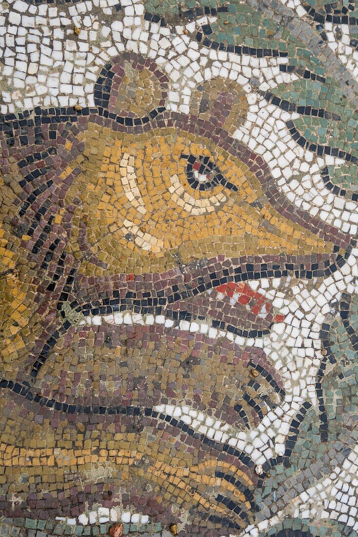 Italien,Sizilien,Piazza Armerina,Villa romaine du Casale,Mosaike aus dem dritten Jahrhundert,eingetragenes Weltkulturerbe der UNESCO