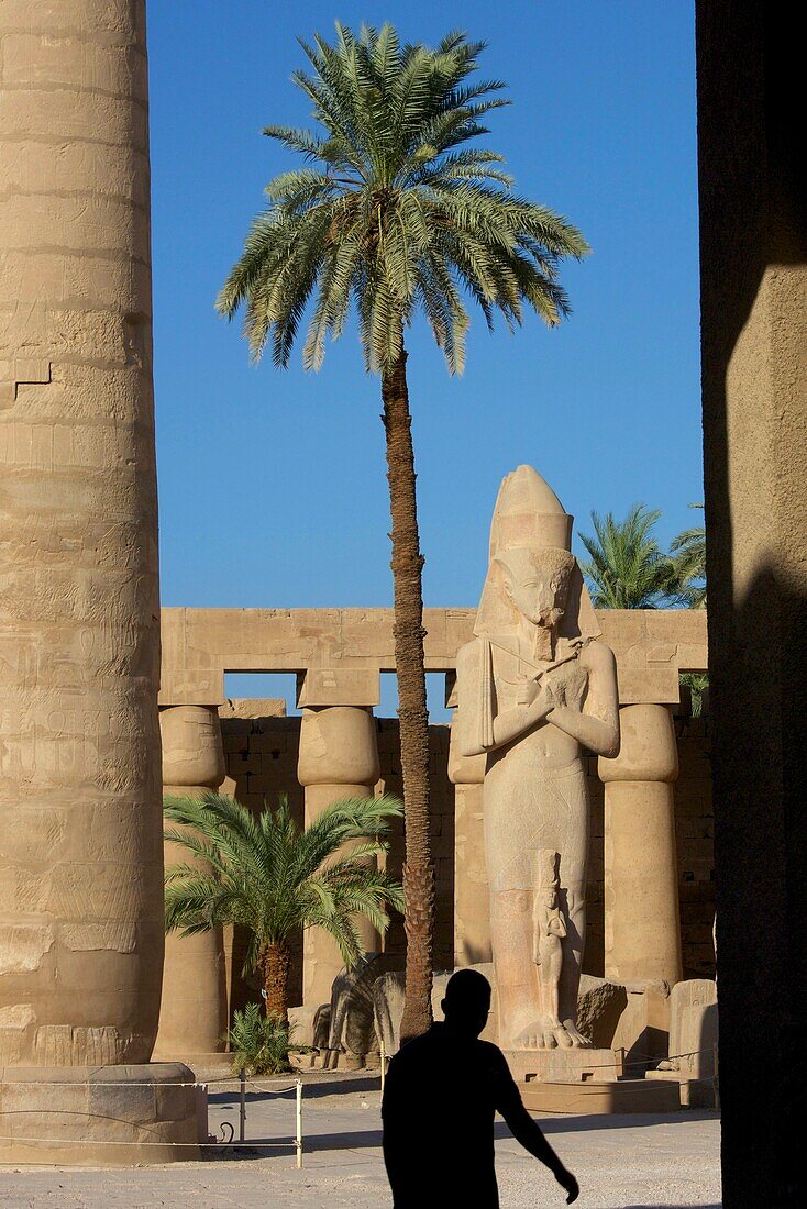 Ägypten,Oberägypten,Niltal,Karnak,Statue von Ramses II zwischen Säulen und schlanker Palme