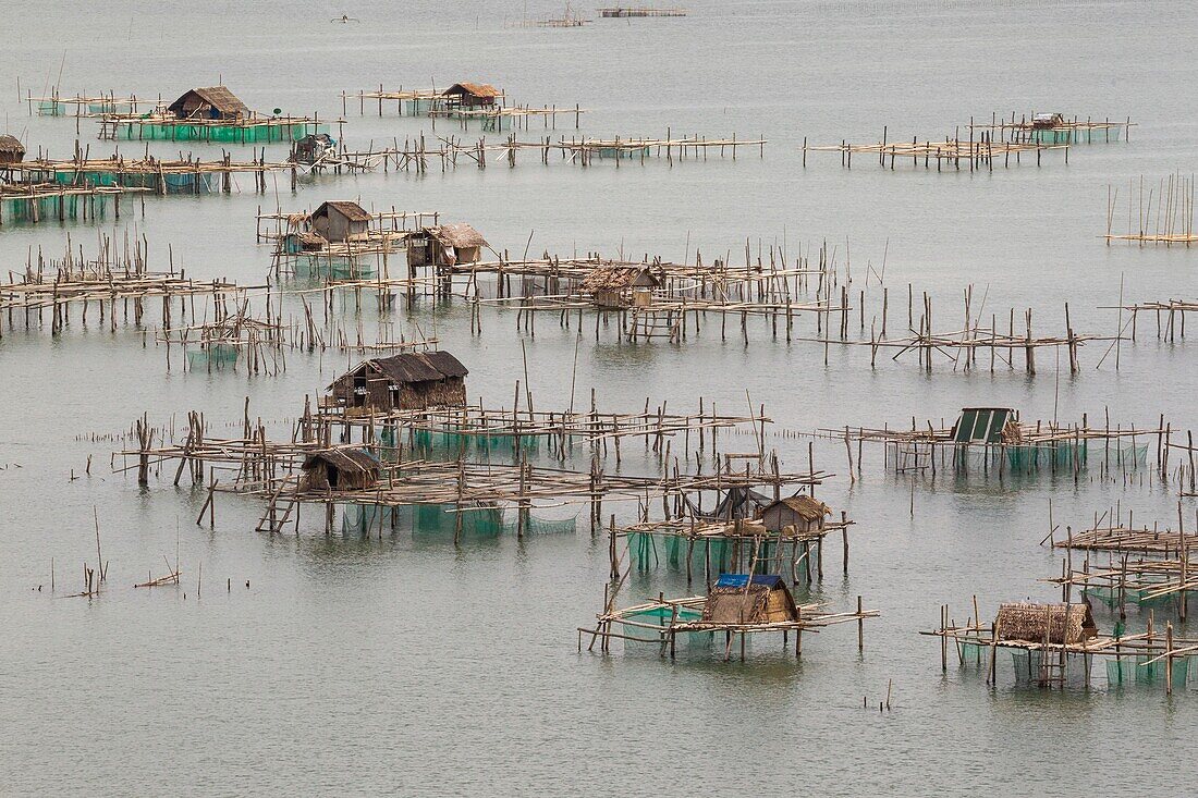 Philippines, Palawan, Malampaya Sound Protected Landscape and Seascape, typical fishing gear with a bamboo structure maintaining fish nets