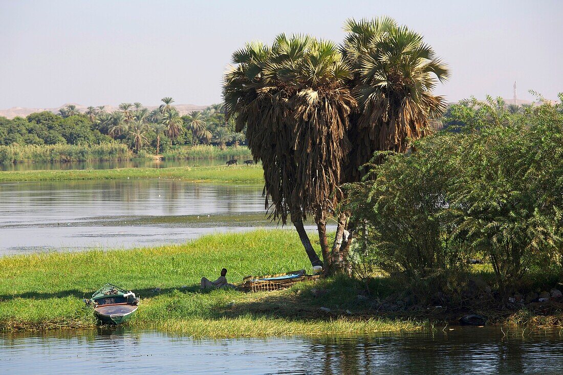 Egypt, Upper Egypt, Nile Valley, villagers lying in the shade of palm trees on a green bank of the Nile