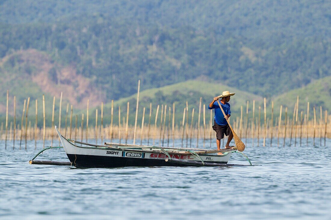 Philippines, Palawan, Malampaya Sound Protected Landscape and Seascape, fisherman paddling his pirogue