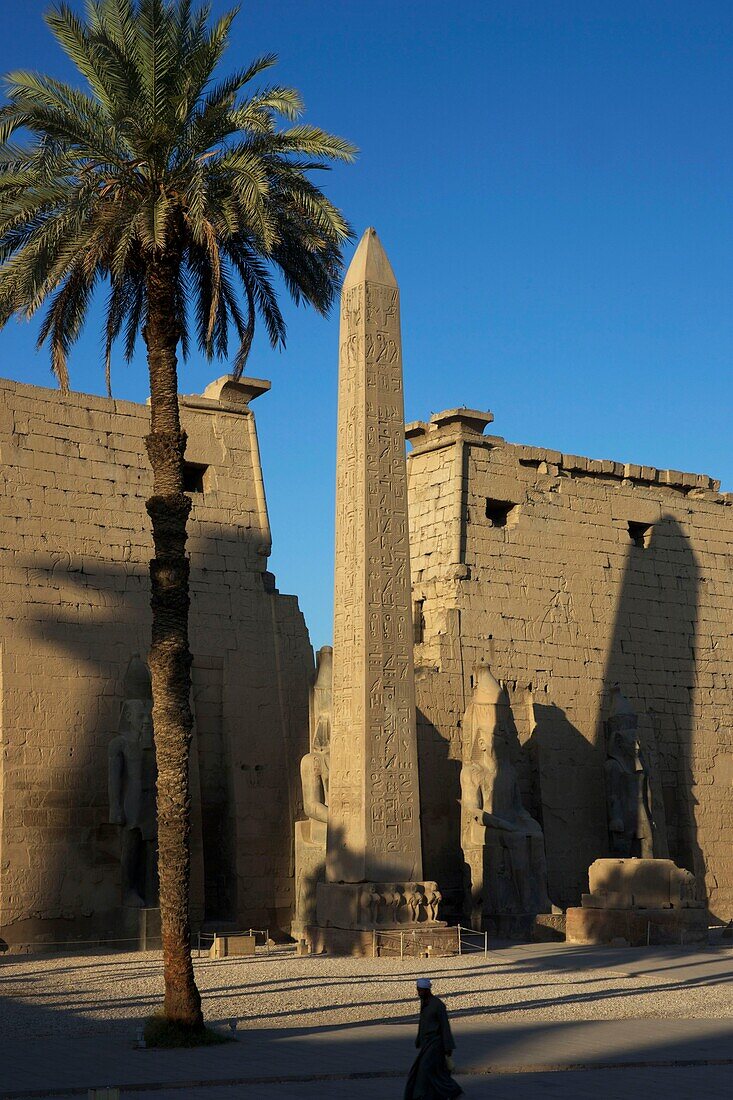 Egypt, Upper Egypt, Nile Valley, Luxor, caretaker passing in front of the facade of Luxor temple with its statues of Ramses II, obelisk and tall palm tree