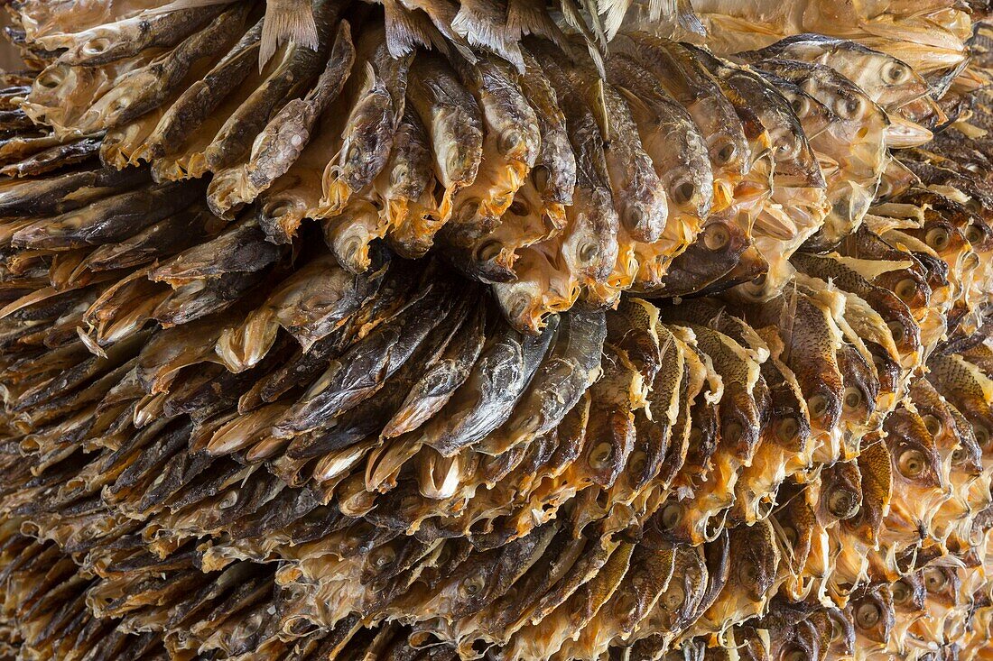 Philippines, Palawan, Malampaya Sound Protected Landscape and Seascape, dried fishes