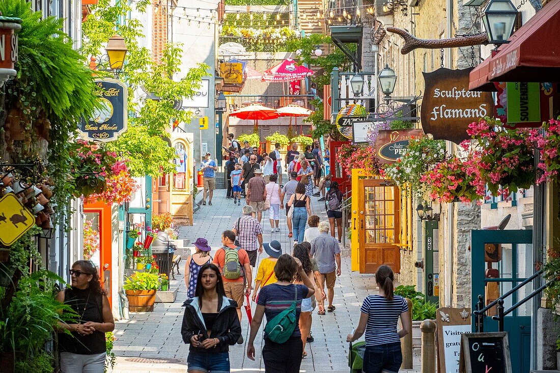 Canada, Quebec province, Quebec City, Old Quebec City World Heritage Site, Lower Town, Petit Champlain street