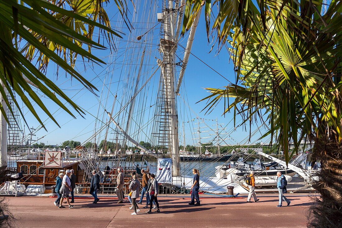 France, Seine Maritime, Rouen, Armada of Rouen 2019, Promenade Normandie-Niemen, ships at berth