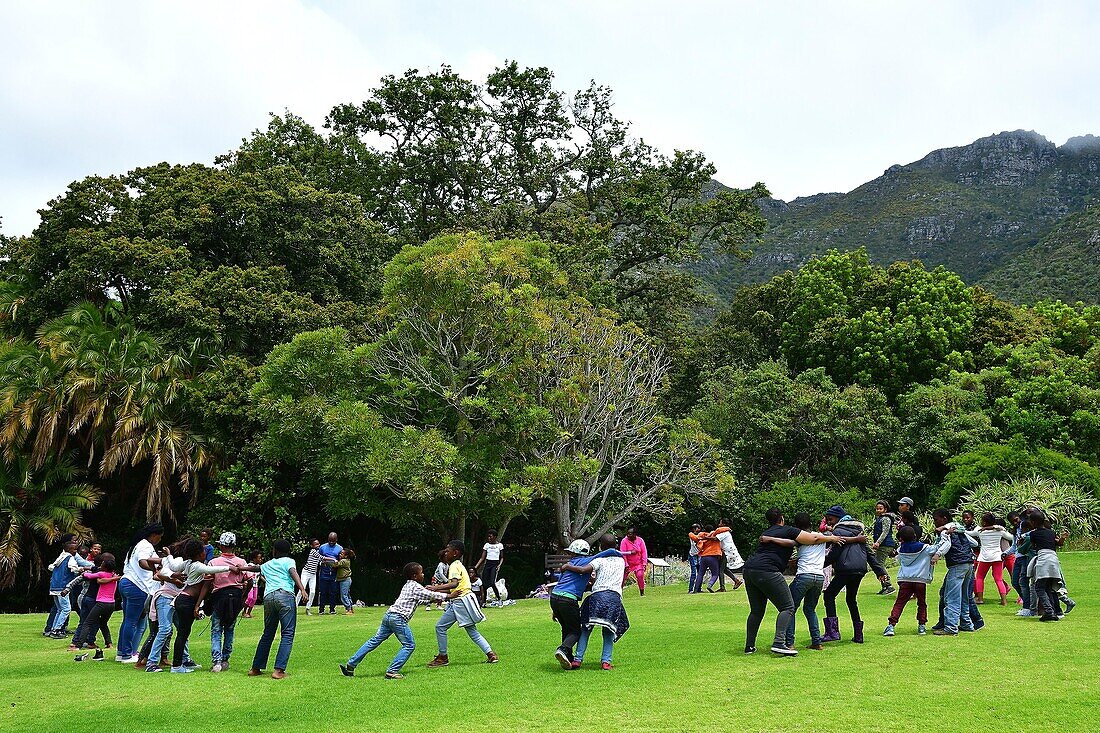 South Western cape, Cape Town, Kirstenbosch, Botanical Garden