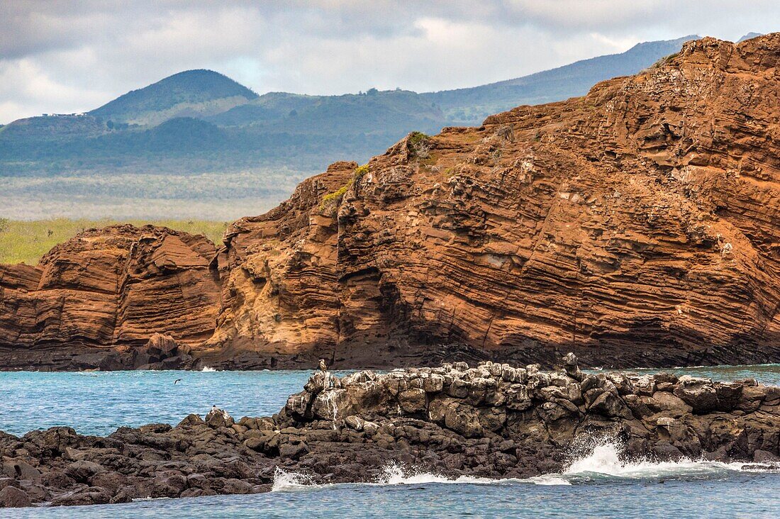 Ecuador,Galápagos-Archipel,von der UNESCO zum Weltnaturerbe erklärt,Santa Cruz Island,Plaza Islands