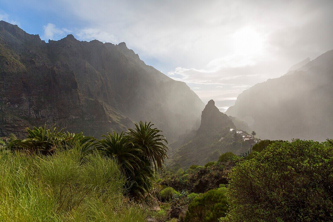 Spain, Canary Islands, Tenerife island, Masca village