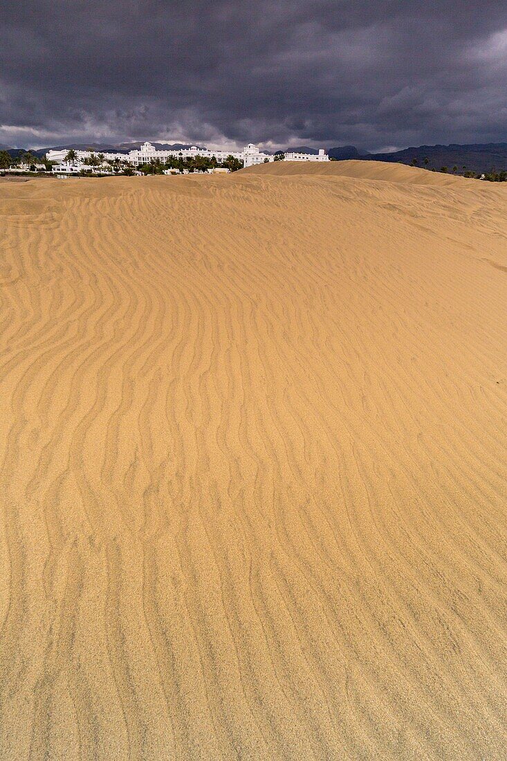 Spanien,Kanarische Inseln,Insel Gran Canaria,die 250 Hektar großen Dünen von Maspalomas