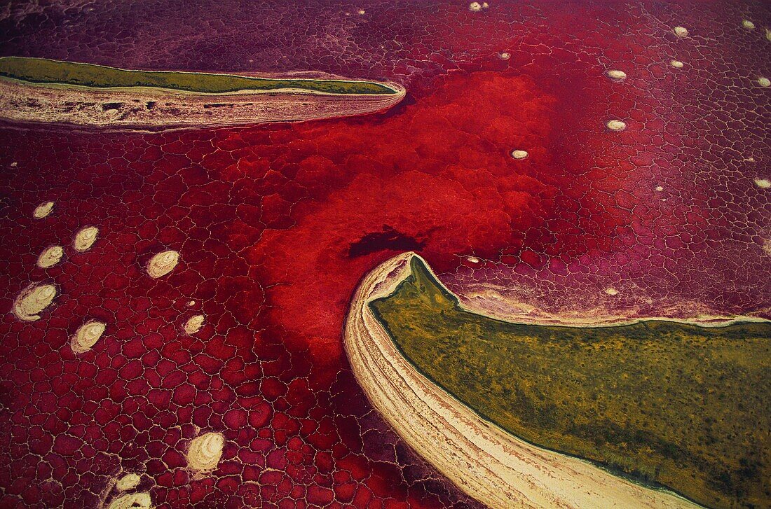 Tansania,Rift Valley,Magadi-See als Natron-See aus der Luft gesehen sind Seen aus Soda (Luftbild)