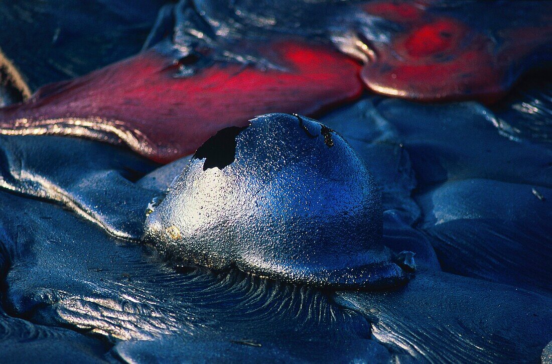 Vereinigte Staaten,Hawaii,Big Island,Eruption des Vulkans Kilauea