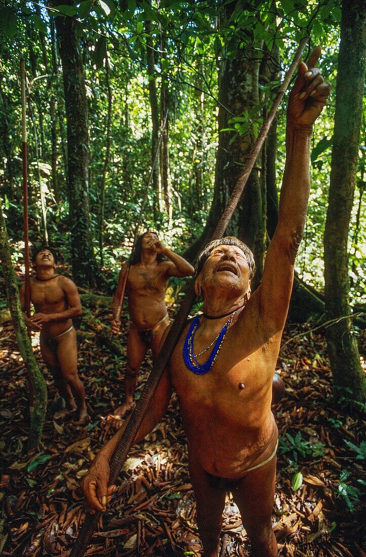 Ecuador, Orellana, Rio Cononaco, blowgun hunting, the Huaorani are one of the last two tribes of hunter-gatherers who live in the heart of the rainforest of Ecuador