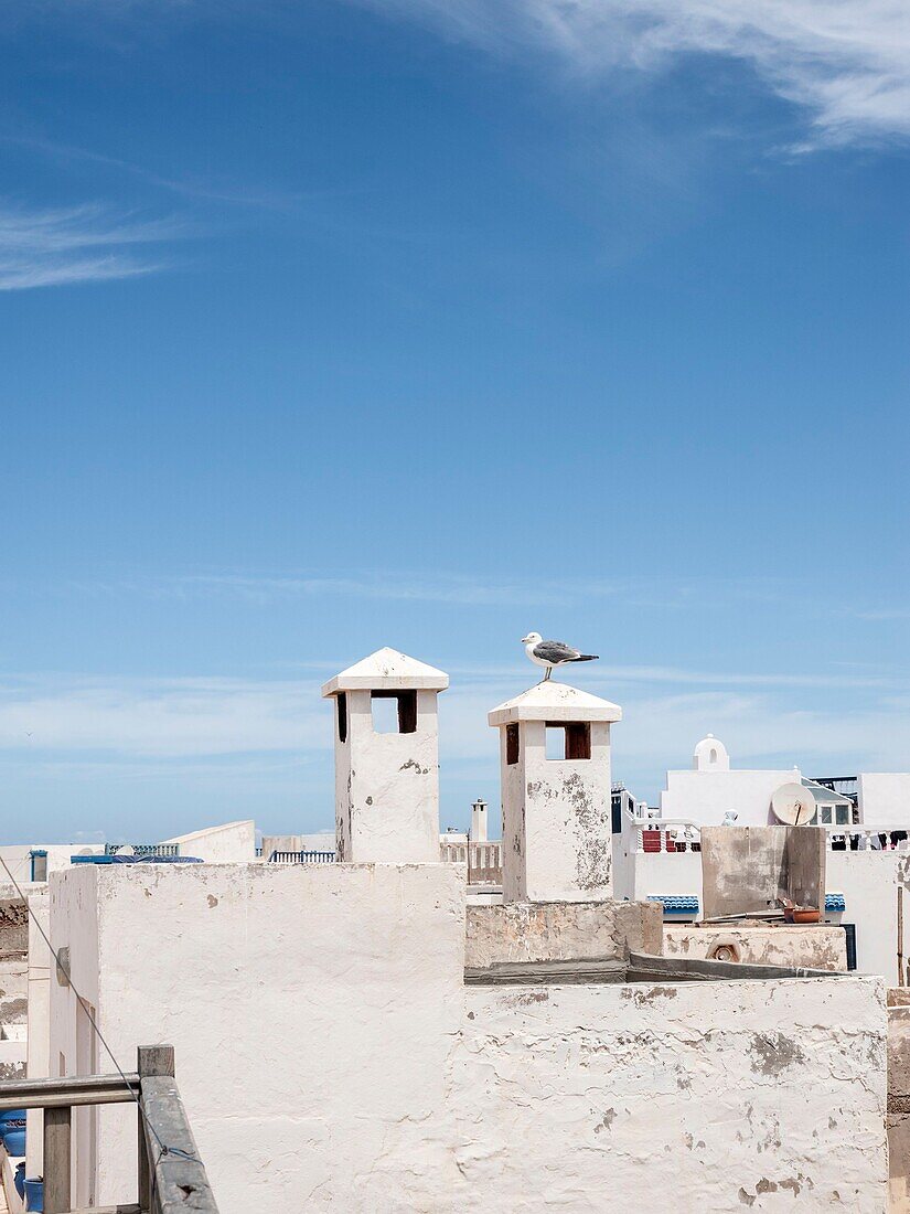 Morocco, Essaouira, Story :  Total renovation of a vintage spirit riad 