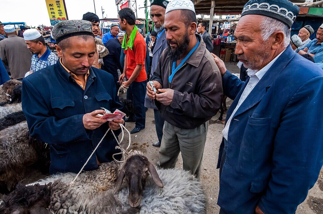 China, Xinjiang autonomous region, Kashgar, livestock market, transaction between farmer and stockbreeder