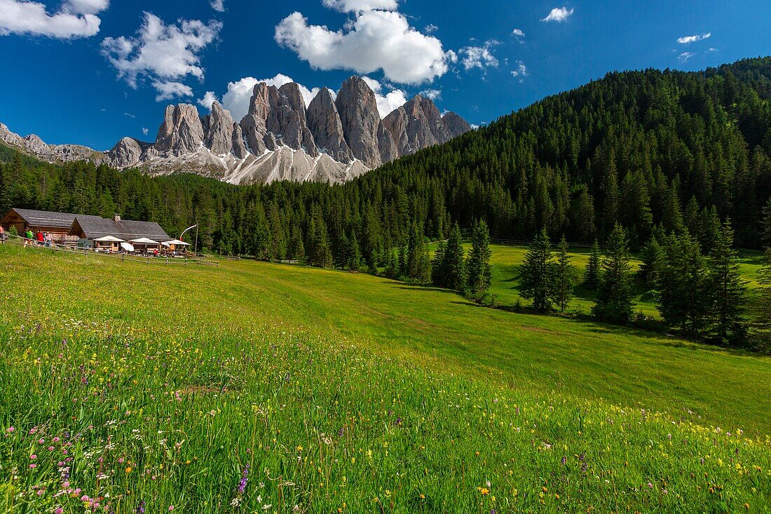 Italy, Trentino-Alto Adige, South Tyrol, Val di Funes, Massif of the Dolomites classified as World Heritage by UNESCO, group of Dolomites of Puez Odle (Puez Geisler)