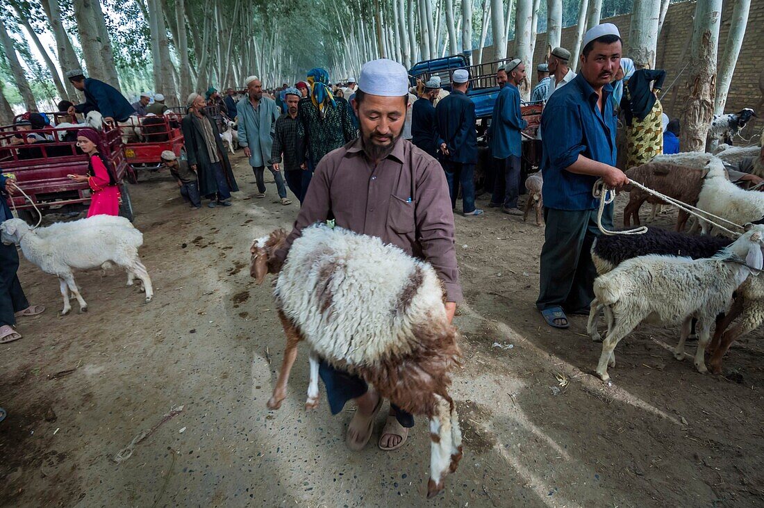 China,Autonome Region Xinjiang,Hotan,Basar,Viehmarkt