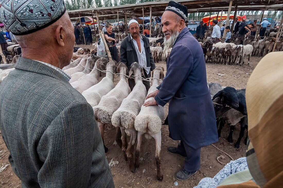 China,Autonome Region Xinjiang,Kashgar,Viehmarkt