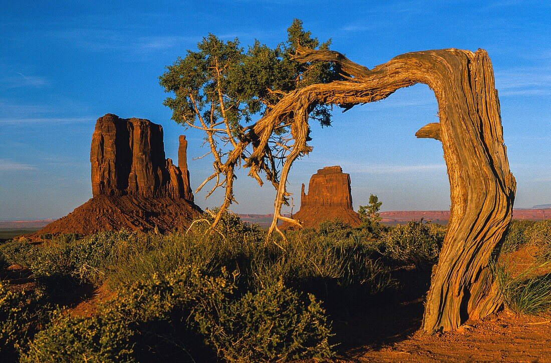 United States, Arizona, Utah, Monument Valley National Monumen, Typical Monument Valley Landscape