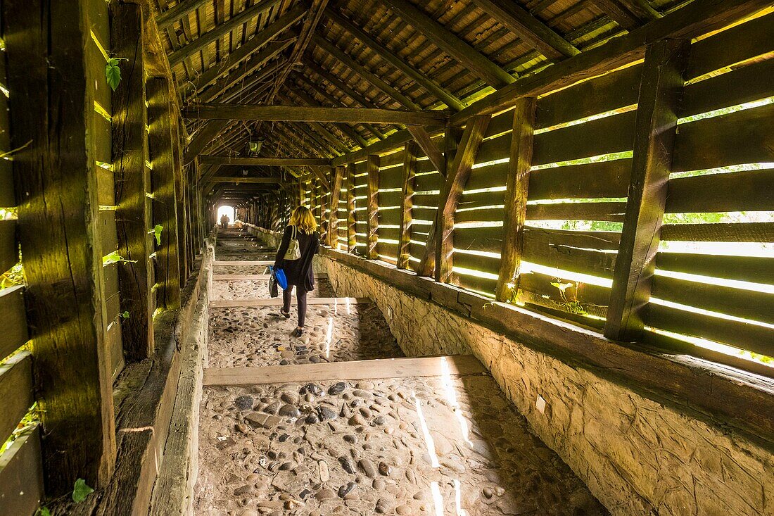 Romania, Transylvania, Sighisoara, is one of the seven fortified cities of Transylvania Saxon, listed as World Heritage by UNESCO, Scara scolarilor (the staircase of schoolchildren), covered wooden staircase