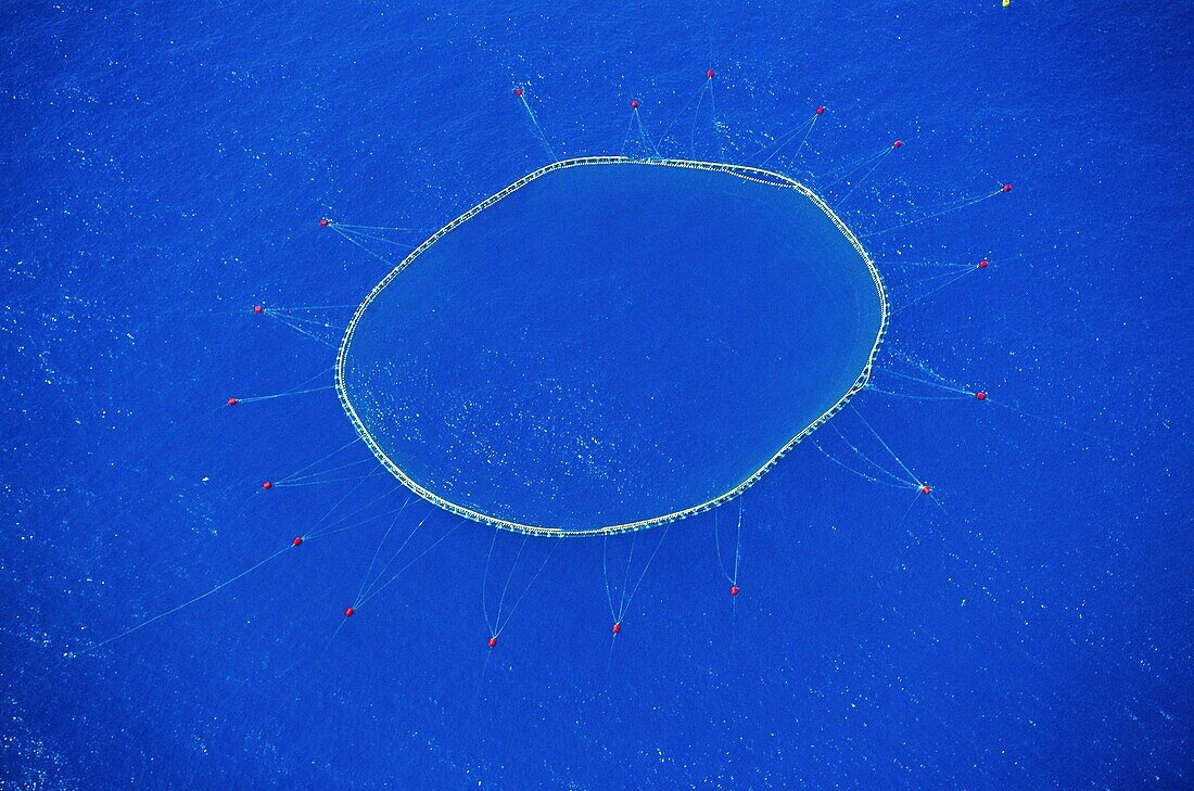 Spain, Andalusia, Cadiz, Aquaculture off Cadiz from the sky (aerial view)