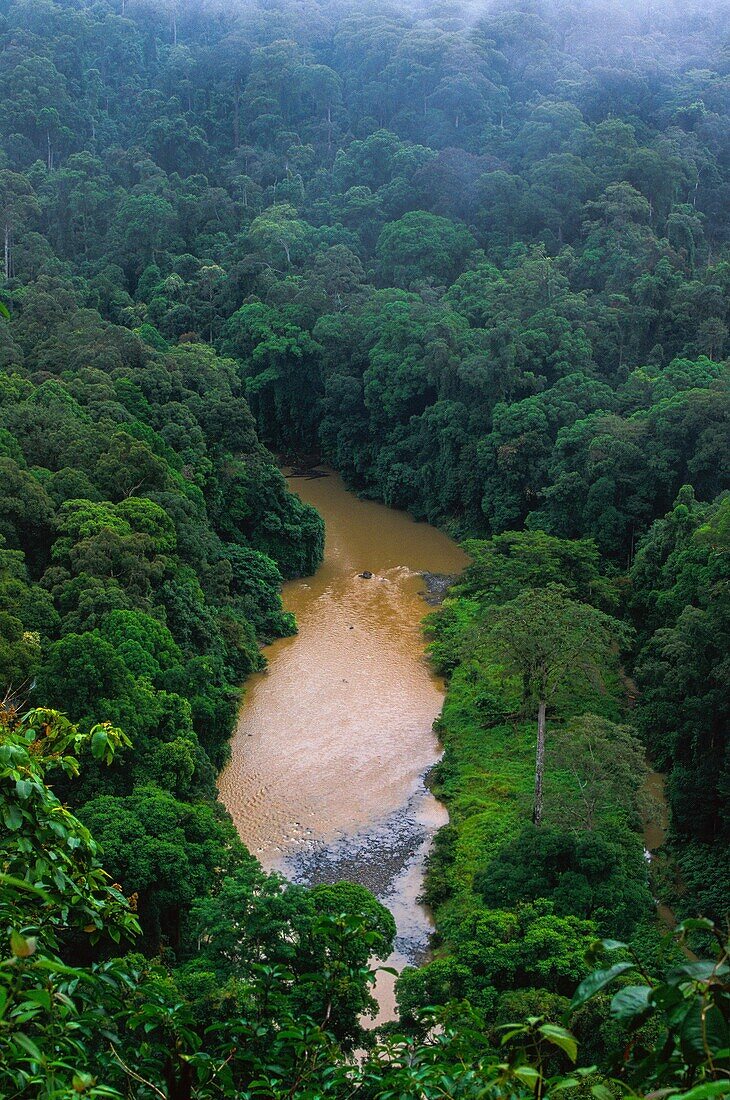 Malaysia, Borneo, Danum Valley, Danum Valley Conservation Area