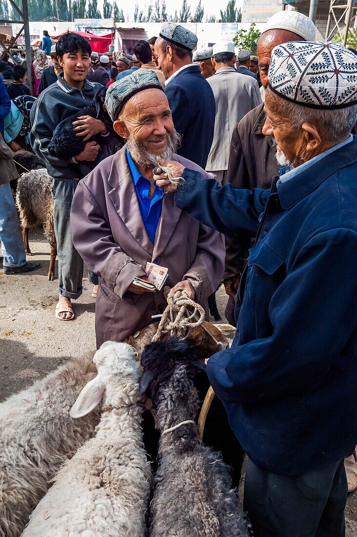 China, Xinjiang autonomous region, Kashgar, livestock market, transaction between farmer and stockbreeder