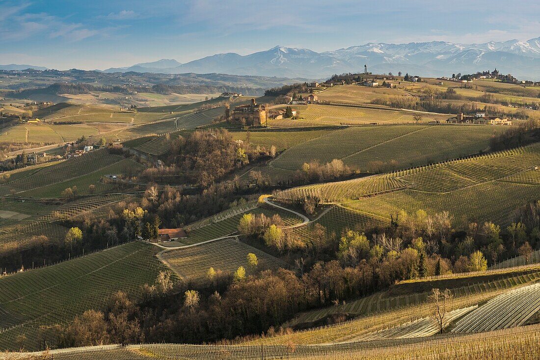 Italien,Piemont,Provinz Cuneo,Die Weinregion Langhe,von der UNESCO zum Weltkulturerbe erklärt,das Schloss Volta mit der Alpenkette im Hintergrund