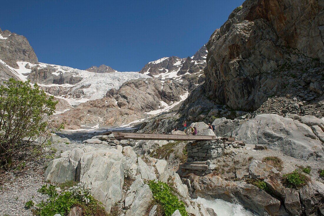 Frankreich,Hautes Alpes,Oisans-Massiv,Nationalpark der Ecrins,Hochgebirgswanderung am Roche Faurio,ein Steg über den Wildbach des Glacier Blanc,die Front des Gletschers und die Spitze Cezanne