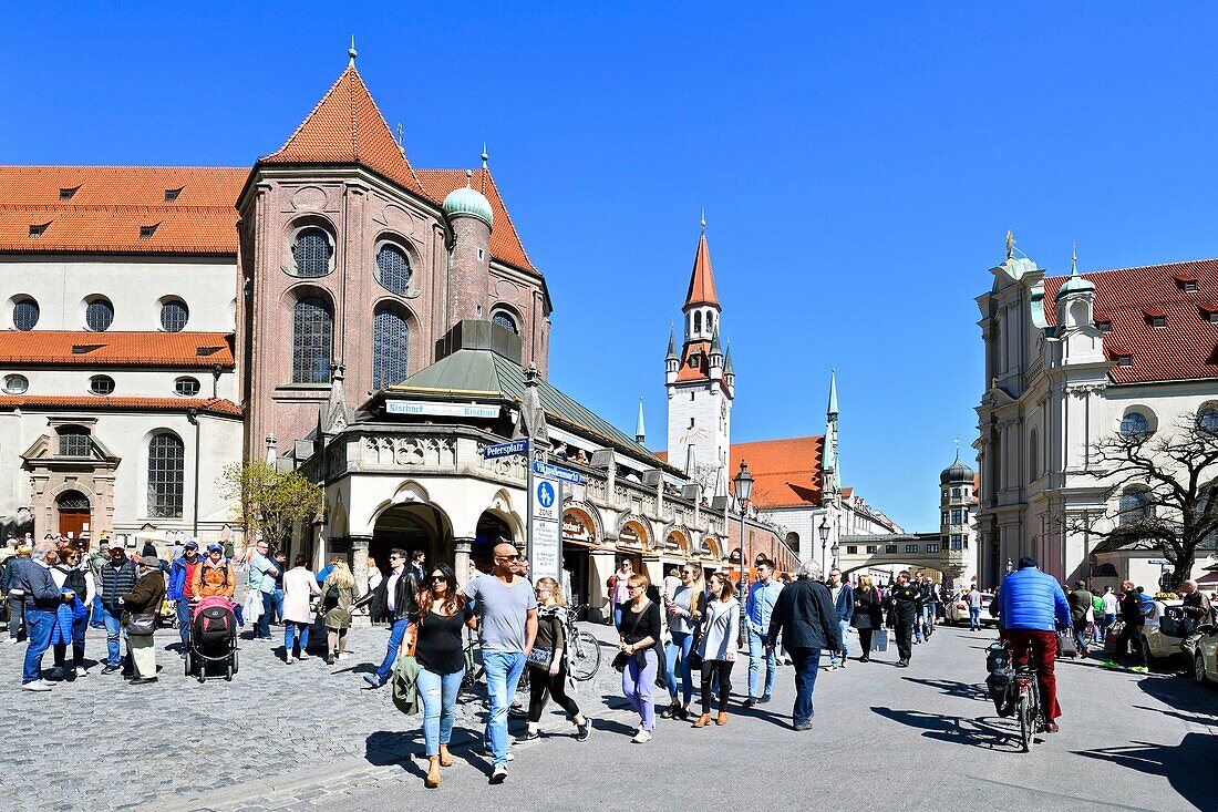 Germany, Bavaria, Munich (München), Viktualienmarkt (daily food market), the biggest market of the city existing since 1807, gallery and the old Town Hall (Altes Rathaus)