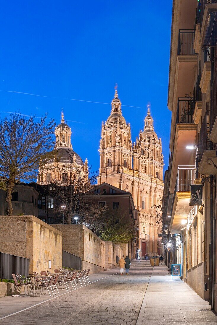 La ClerecAdz?a, Salamanca, UNESCO World Heritage Site, Castile and Leon, Spain, Europe