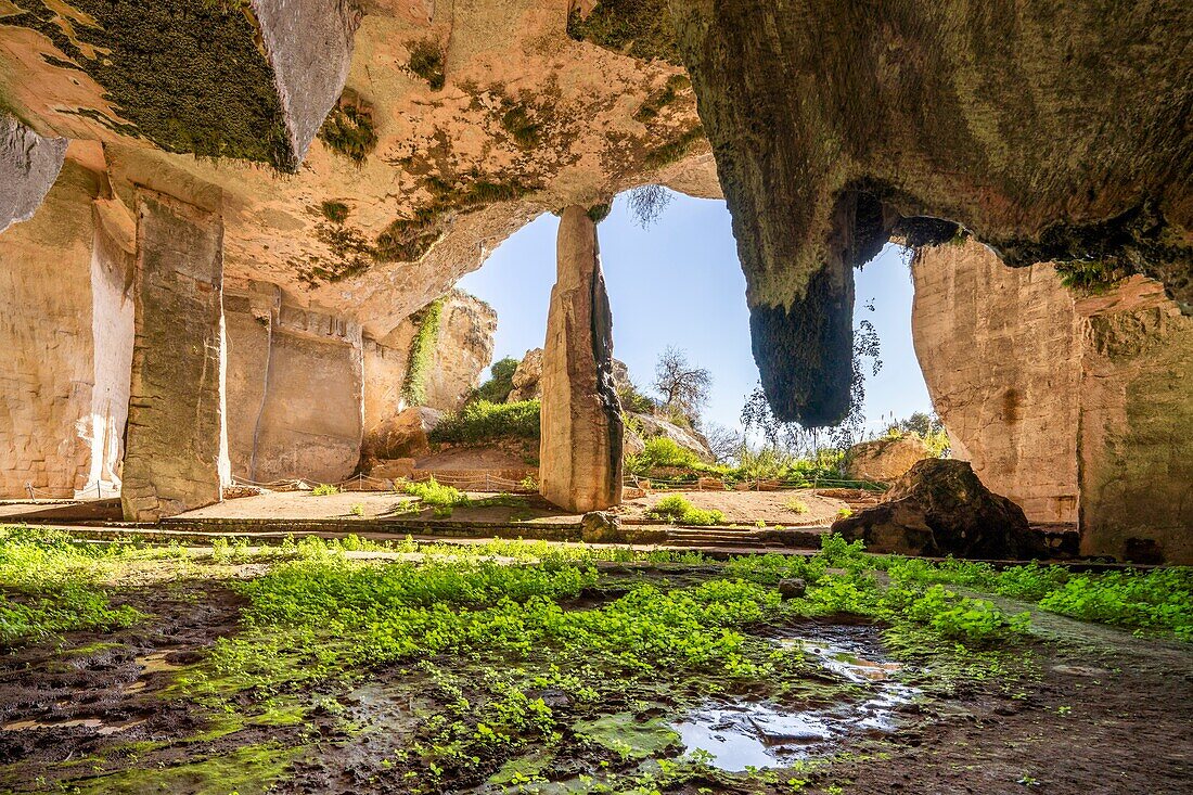 Rope Makers' Cave (Grotta dei Cordari), Neapolis Archaeological Park, UNESCO World Heritage Site, Syracuse, Sicily, Italy, Mediterranean, Europe