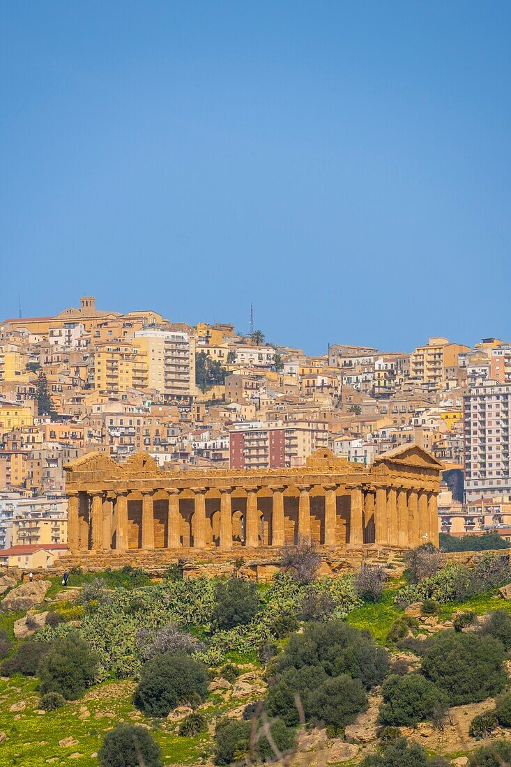 Concordia-Tempel,Tal der Tempel,UNESCO-Welterbe,Agrigento,Sizilien,Italien,Mittelmeer,Europa