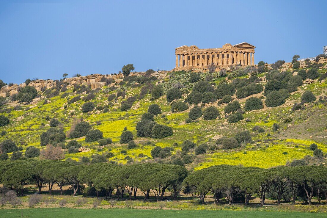 Concordia-Tempel,Tal der Tempel,UNESCO-Welterbestätte,Agrigent,Sizilien,Italien,Mittelmeer,Europa