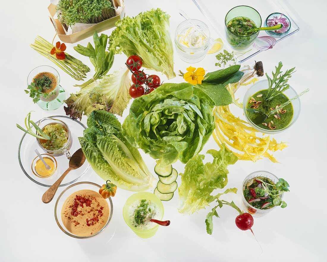 Einige Blattsalate und viele schmackhafte Salatsaucen