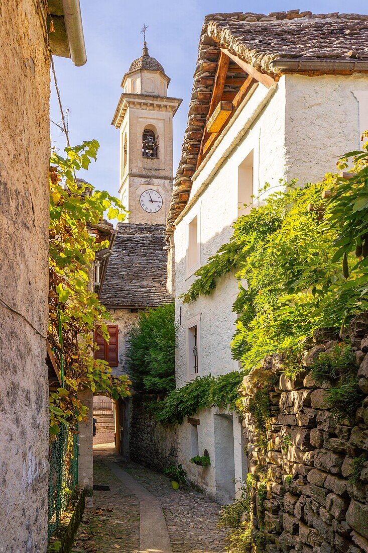 Among the landscapes of the painter Carlo Fornara, path, Prestinone, Valle Vigezzo, Val d'Ossola, Verbania, Piedmont, Italy, Europe