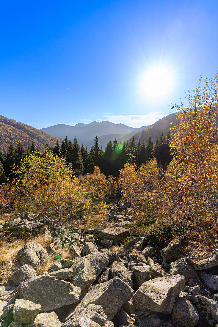 Oasi Zegna,Biella,Piemont,Italien,Europa