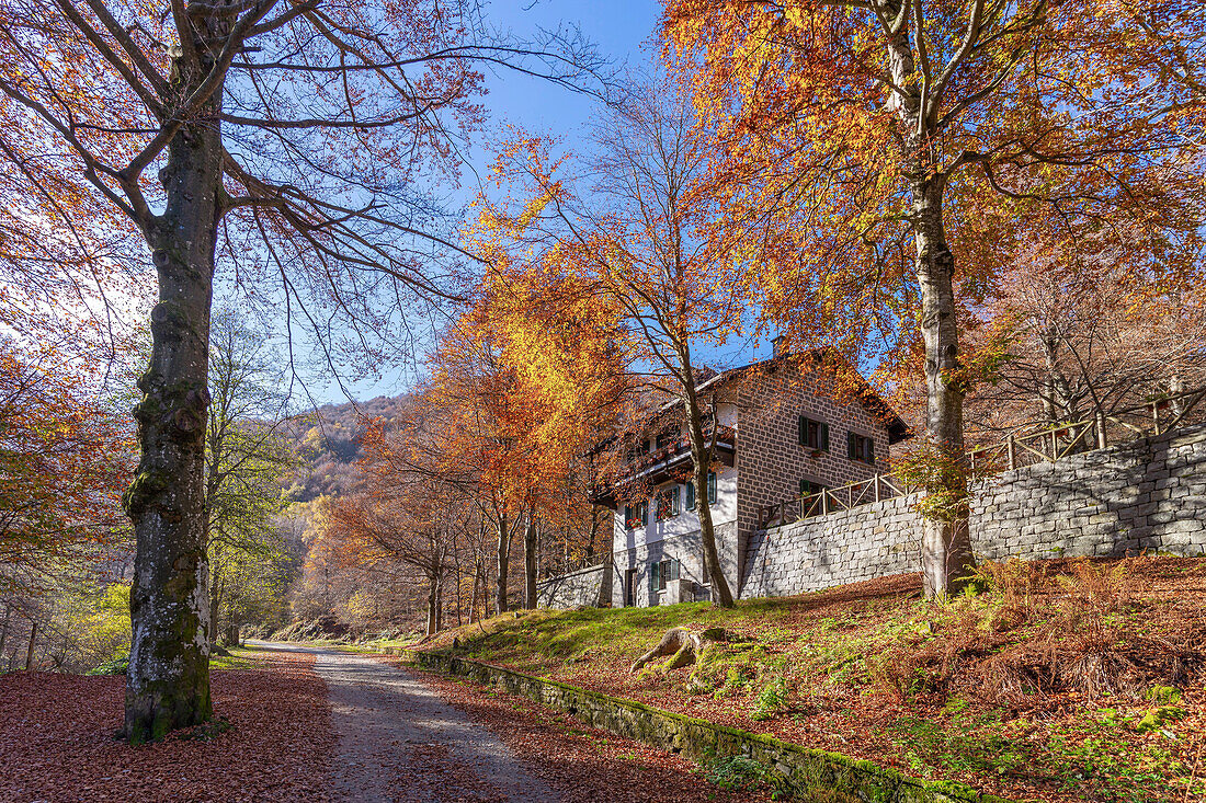 Oasi Zegna,Biella,Piemont,Italien,Europa