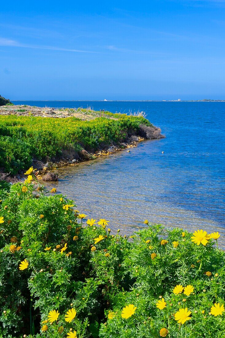 Motya island, Marsala, Trapani, Sicily, Italy, Mediterranean, Europe