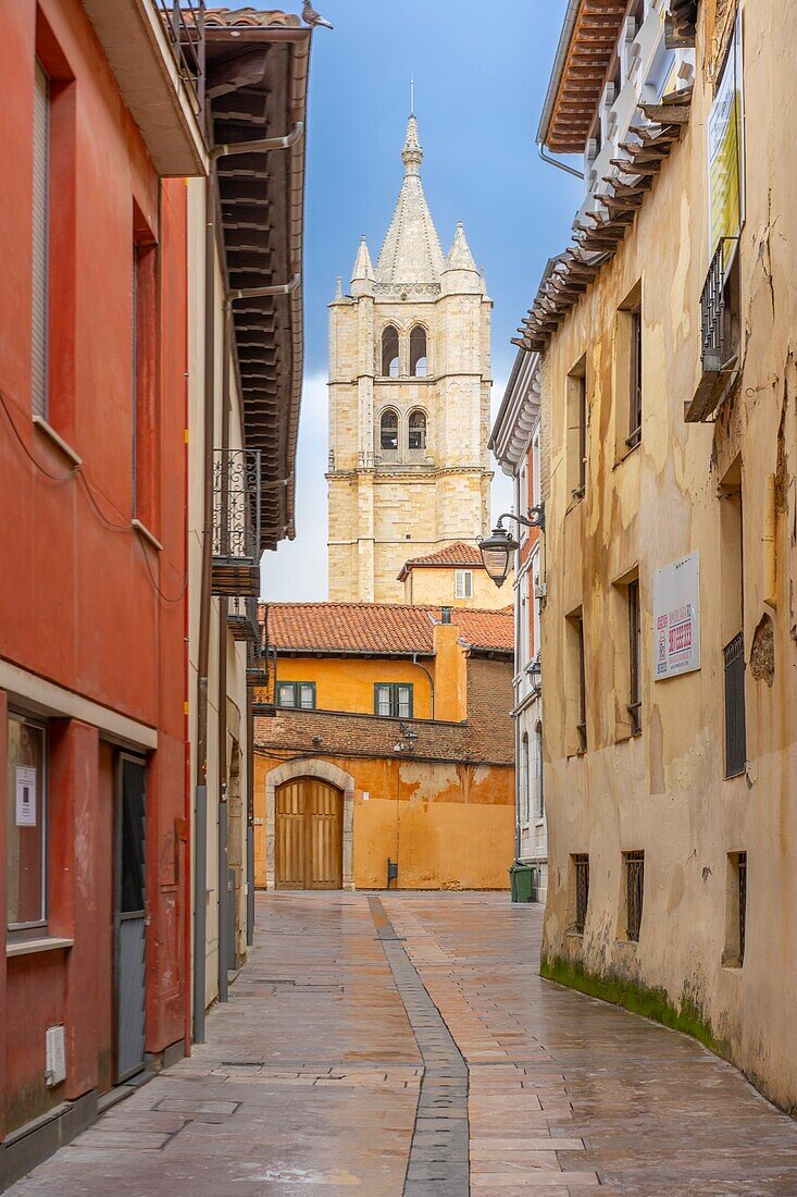 Calle Damaso Merino,León,Kastilien und León,Spanien,Europa