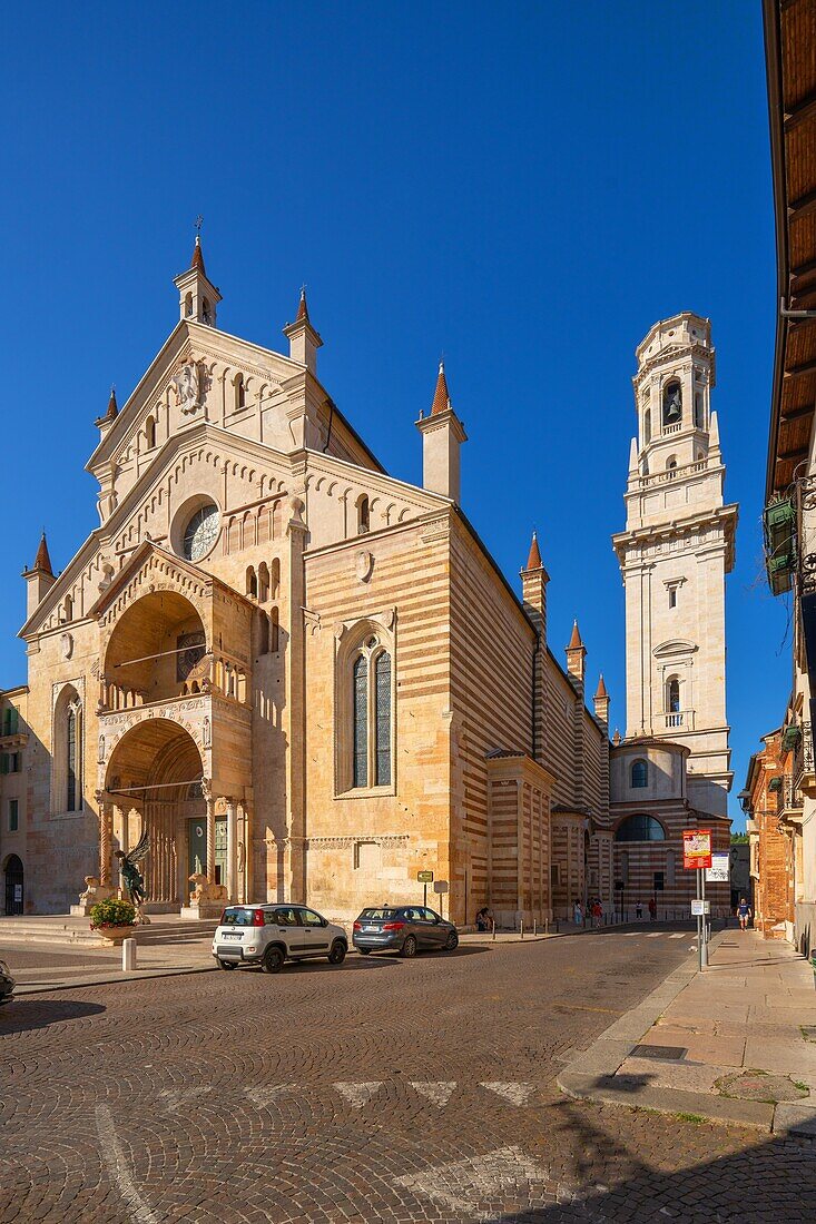 The Cathedral of Verona (Cathedral of Santa Maria Assunta), Verona, UNESCO World Heritage Site, Veneto, Italy, Europe