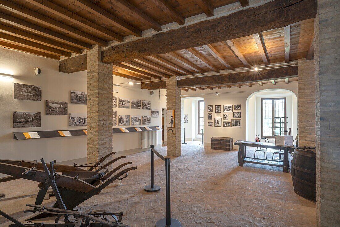 Giuseppe Simononini photographer, Rosso Graspa Museum, Levizzano Rangone Castle, Levizzano, Castelvetro di Modena, Modena, Emilia-Romagna, Italy, Europe