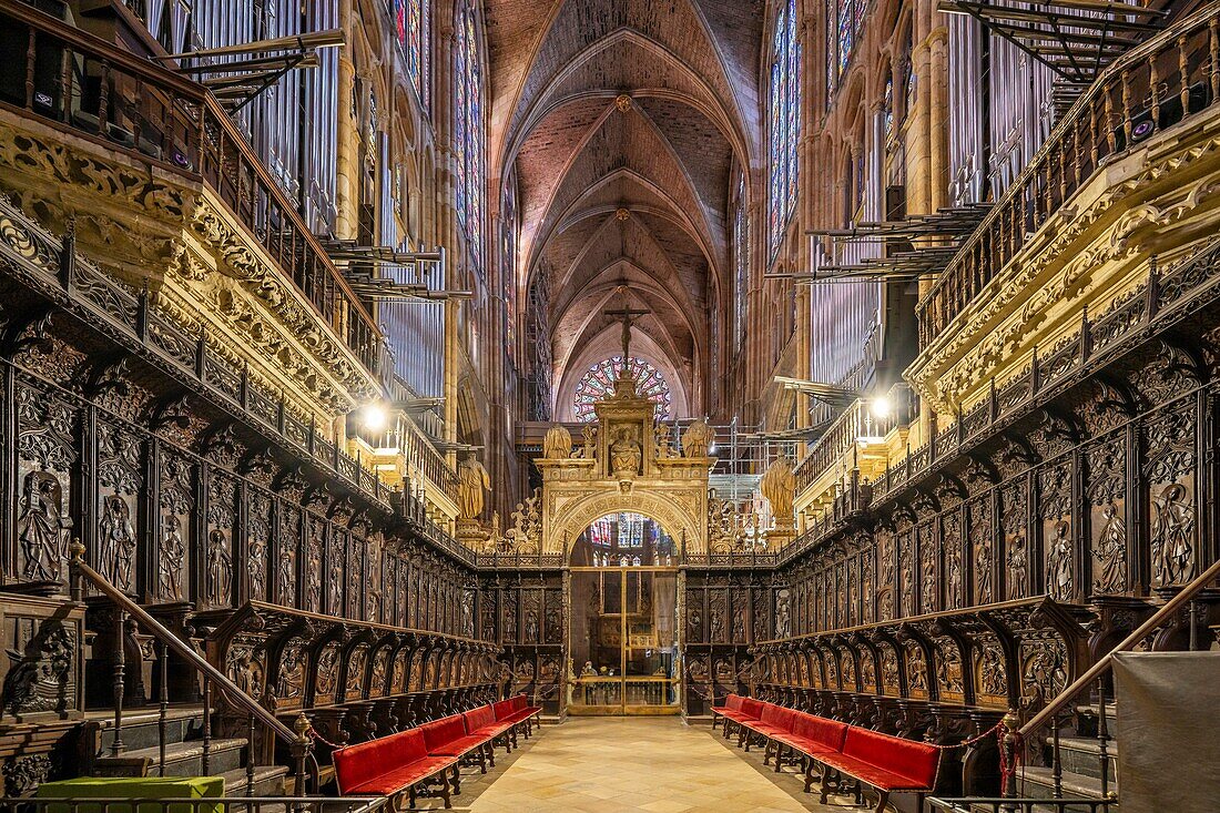 Santa MarAdz?a De Leon Cathedral, Leon, Castile and Leon, Spain, Europe